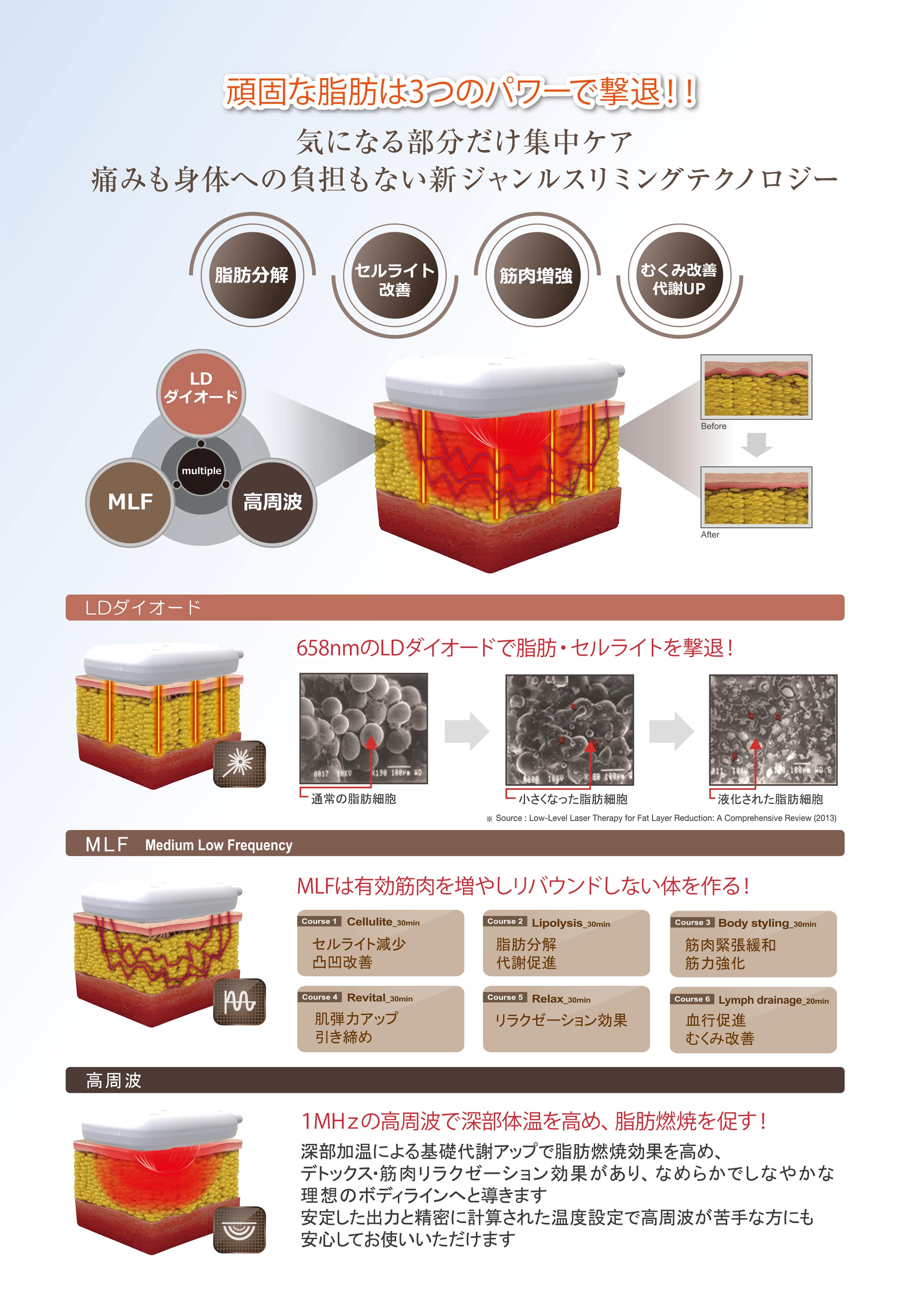 頑固な脂肪は3つのパワーで撃退